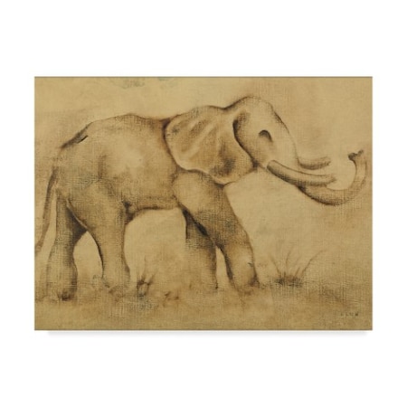 Cheri Blum 'Global Elephant Light Crop' Canvas Art,14x19